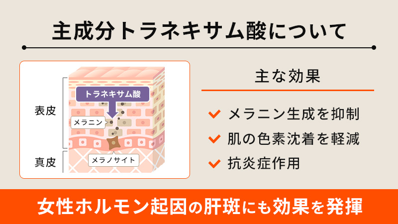 主成分トラネキサム酸について