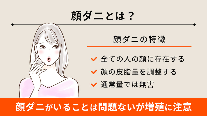 顔ダニとは？顔ダニがいない人はいない