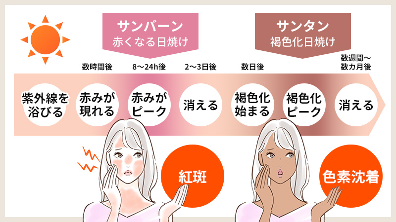 赤み・乾燥・炎症…放置NGな肌のサインとは?