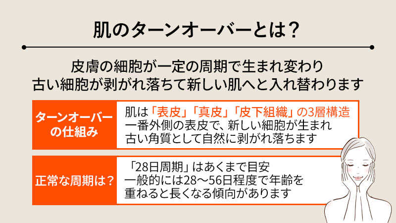 そもそも肌のターンオーバーとは？
