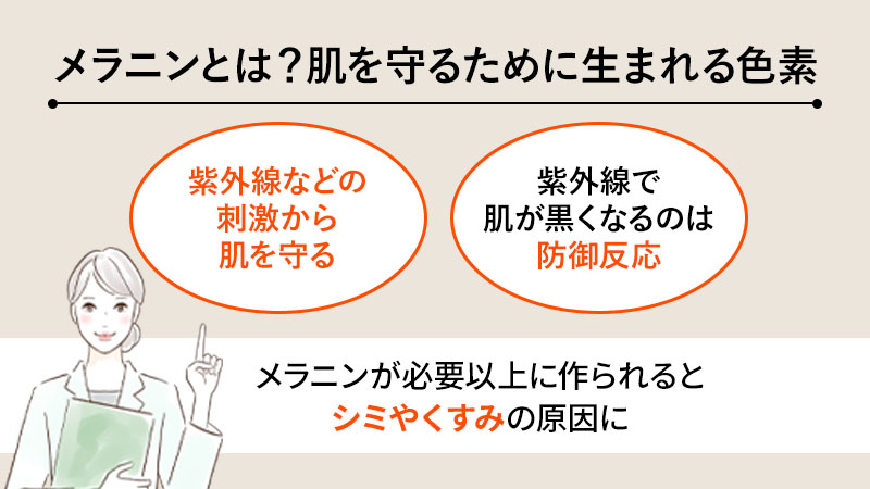 そもそもメラニンとは？肌を守るために生まれる色素