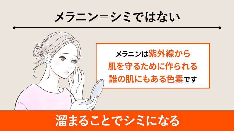 メラニン＝シミではない｜溜まることでシミになる