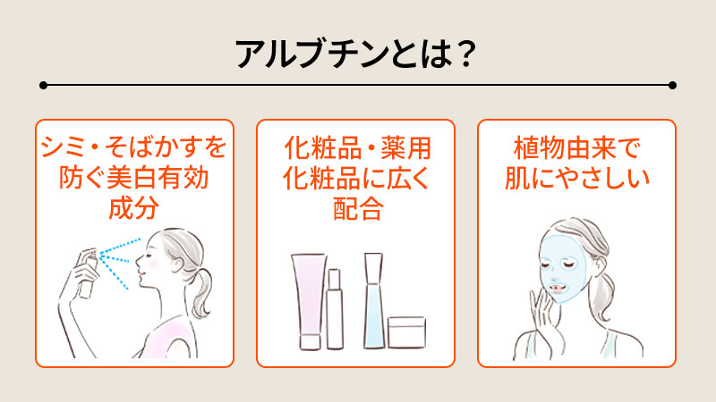 アルブチンとは？
