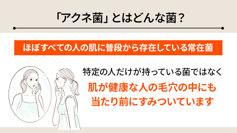 そもそもニキビの原因「アクネ菌」とはどんな菌？