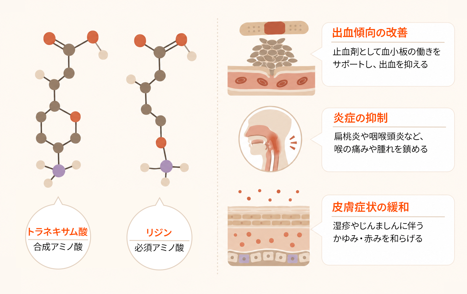 トラネキサム酸の分子構造と3つの用途