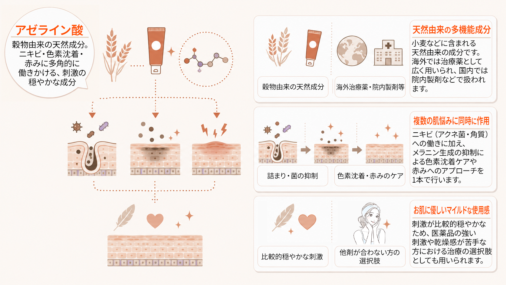 アゼライン酸の3つの働き（ニキビ・色素沈着・赤み）