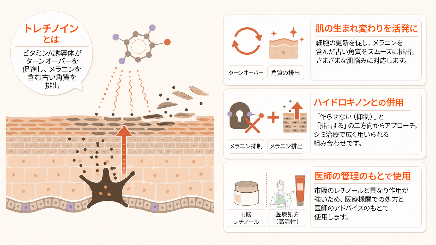 トレチノインの基本情報