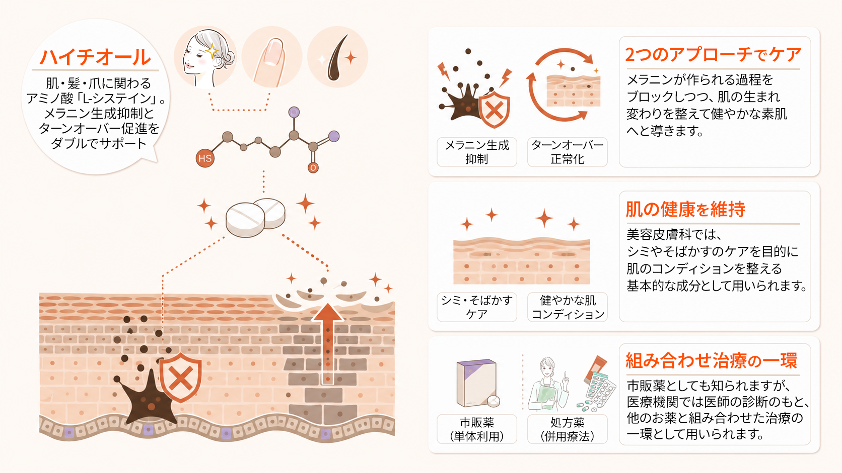 L-システインの働きと市販薬・処方薬の違い