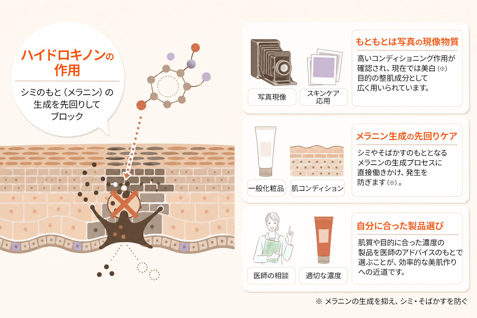 ハイドロキノンの基本情報