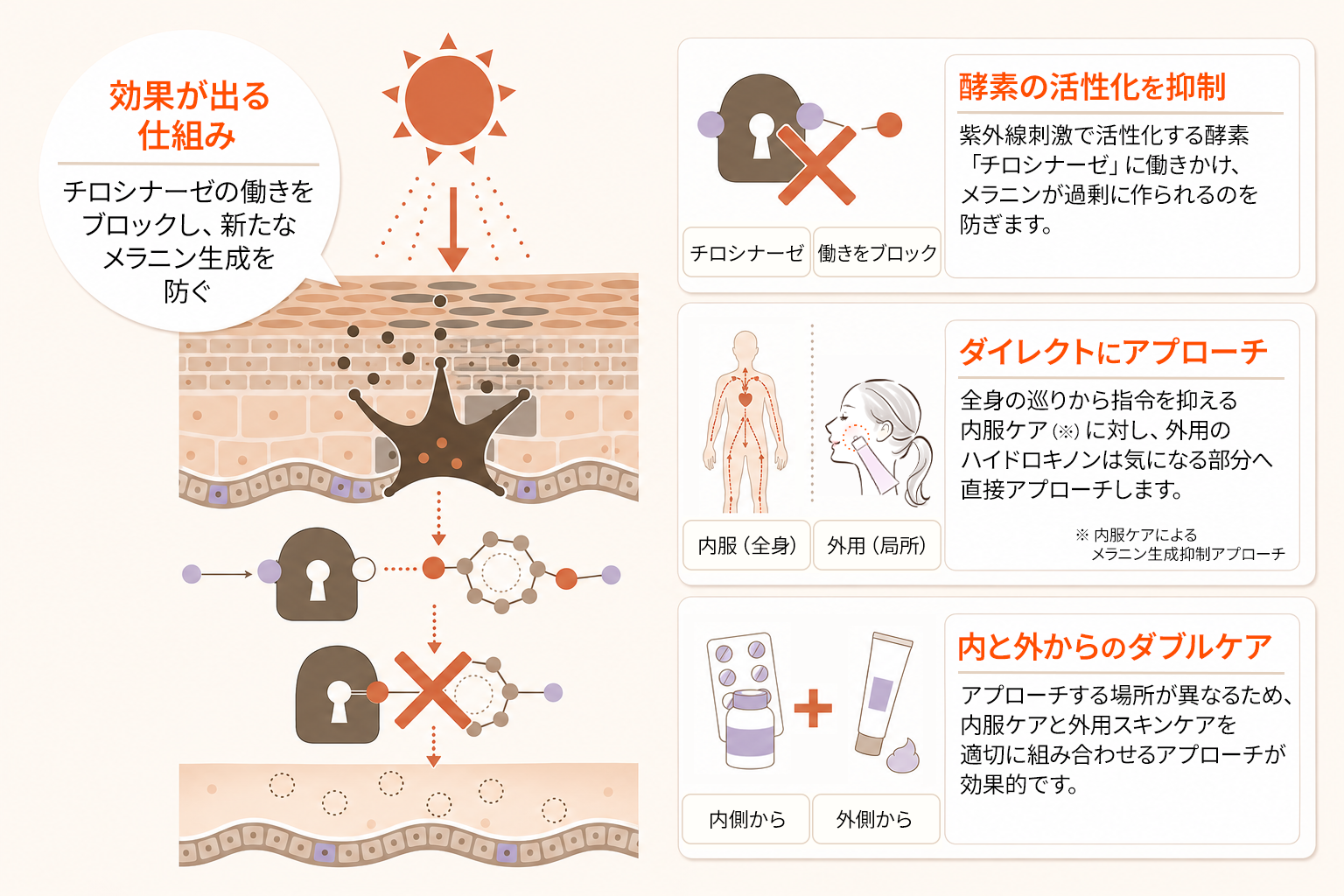 メラニン生成の仕組みとアプローチの比較