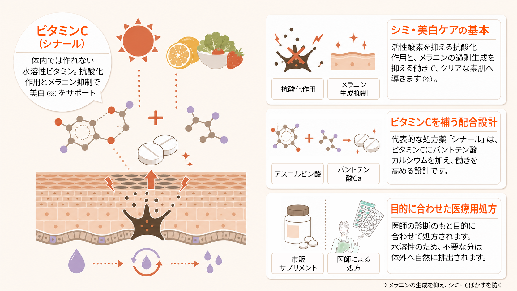 ビタミンC（シナール）の基本情報