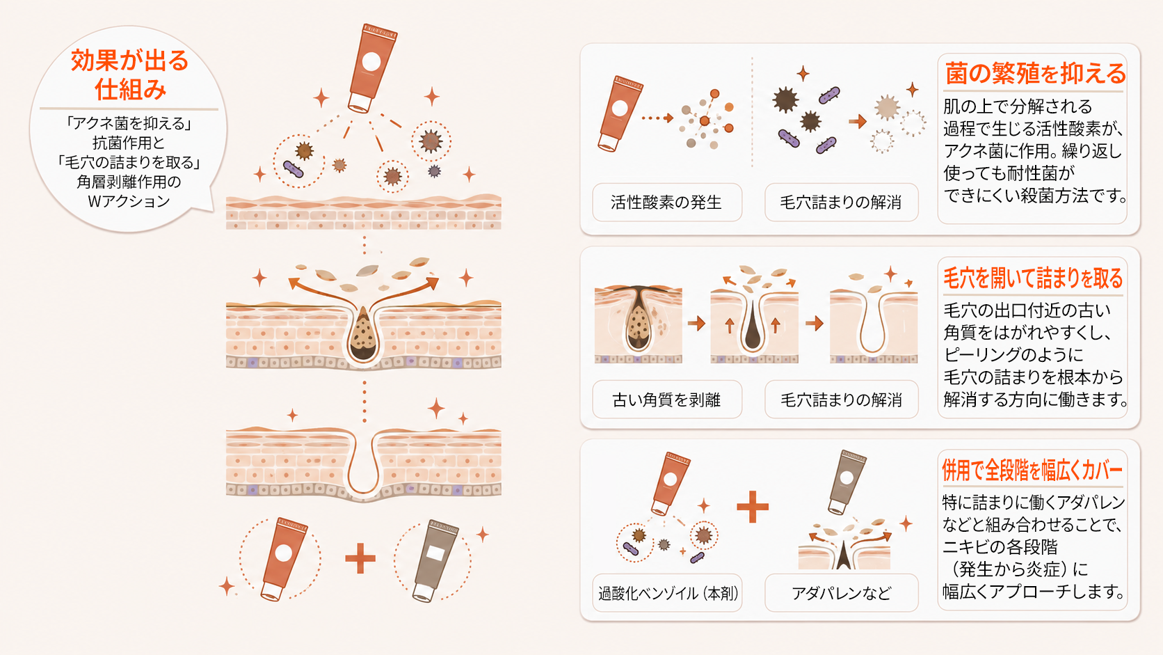 過酸化ベンゾイルの作用機序（抗菌作用と角層剥離作用）